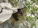 photo thumbnail #11