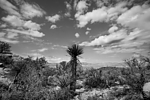 photo thumbnail #12