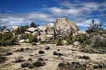 photo thumbnail #13