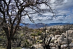 photo thumbnail #14