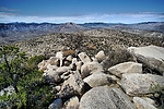 photo thumbnail #15