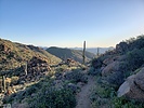 photo thumbnail #4