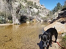 photo thumbnail #5