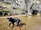 photo thumbnail #7