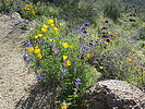 photo thumbnail #6