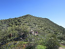 photo thumbnail #7