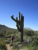 photo thumbnail #9
