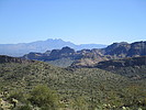 photo thumbnail #12