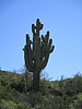 photo thumbnail #15