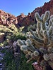 photo thumbnail #3