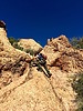 photo thumbnail #5