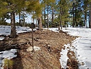 photo thumbnail #7