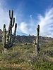 photo thumbnail #4