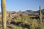 photo thumbnail #4
