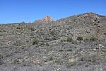 photo thumbnail #11