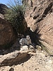 photo thumbnail #2