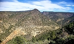 photo thumbnail #10