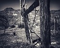 photo thumbnail #14