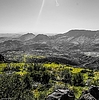 photo thumbnail #15