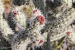 photo thumbnail #15