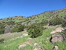 photo thumbnail #6