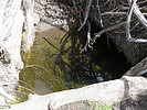 photo thumbnail #9