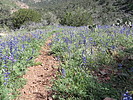 photo thumbnail #10
