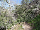 photo thumbnail #13