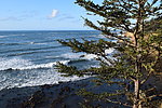 photo thumbnail #7