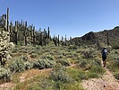 photo thumbnail #10