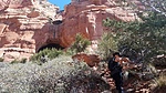 photo thumbnail #1
