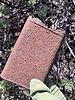 photo thumbnail #7