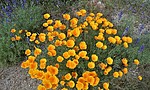 photo thumbnail #10