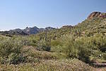 photo thumbnail #1