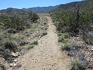 photo thumbnail #8