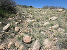 photo thumbnail #9