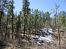photo thumbnail #1