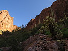 photo thumbnail #5