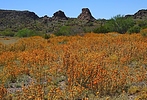 photo thumbnail #14