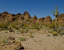 photo thumbnail #15
