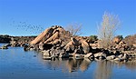 photo thumbnail #7