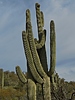 photo thumbnail #11