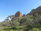 photo thumbnail #4