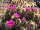 photo thumbnail #3