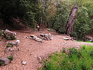 photo thumbnail #13