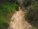 photo thumbnail #14