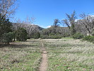 photo thumbnail #5