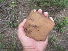 photo thumbnail #11