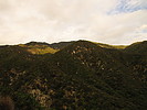 photo thumbnail #13