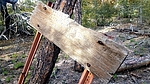 photo thumbnail #10